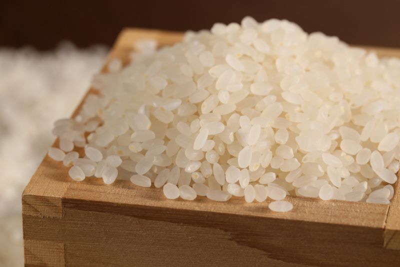 miso làm từ gạo miso làm từ gạo